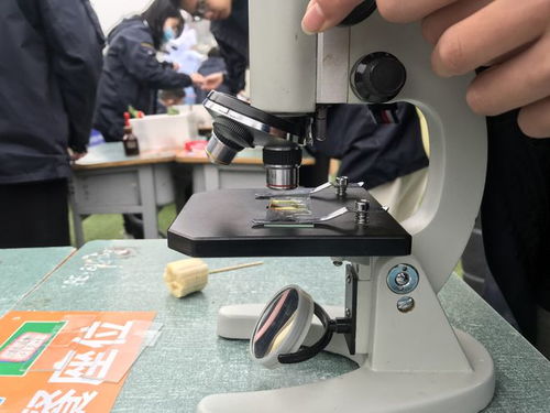 校園科技節(jié)腦力值拉滿，學(xué)生玩嗨了！教學(xué)模型與教具銷售迎來熱潮